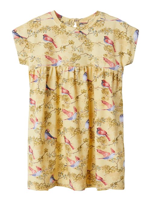 DRESS WITH BIRDS NAME IT
